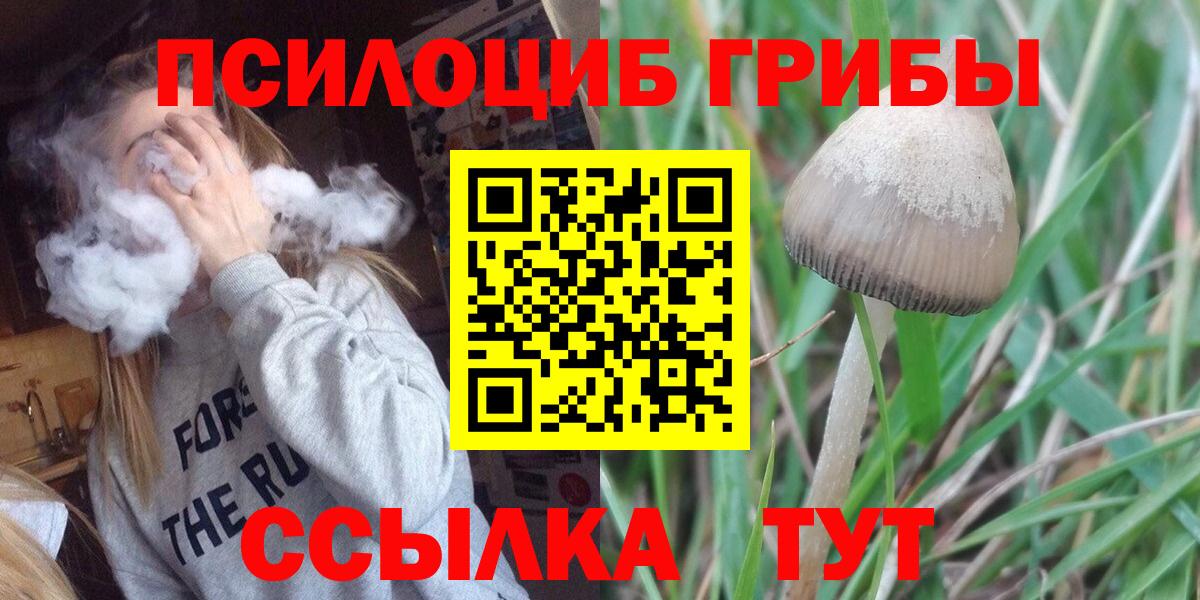 Нерюнгри  Псилоцибиновые грибы мицелий  Вход с VPN 